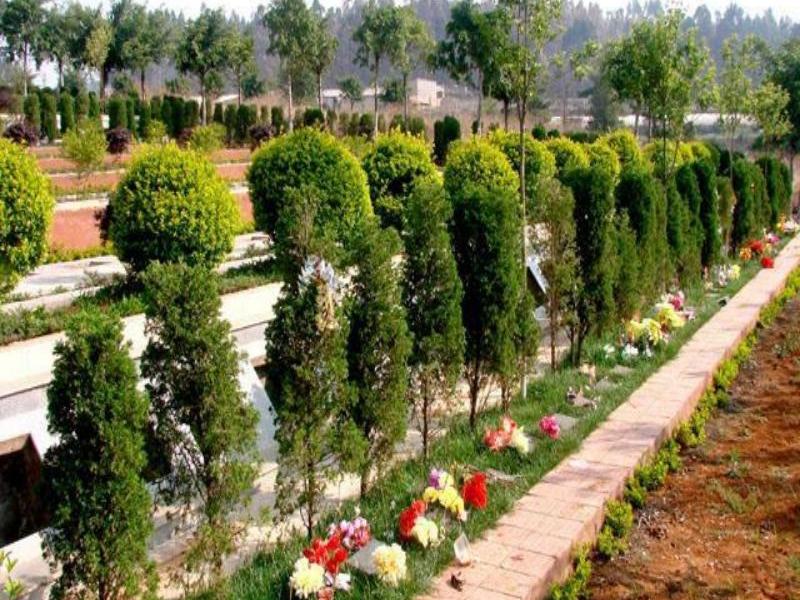 至善园公墓团购优惠