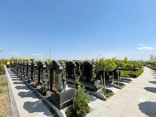 至善园公墓怎么预约