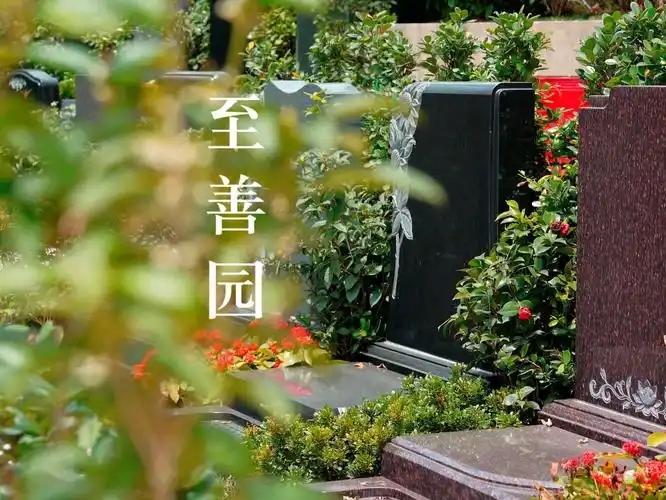 至善园公墓分期付款
